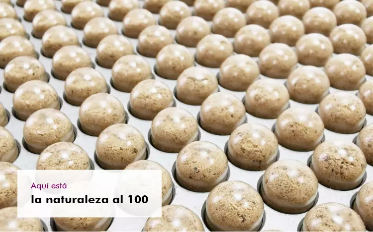 MycoVital_ Decenas de pastillas redondas de color marr&oacute;n est&aacute;n dispuestas en cuadr&iacute;cula sobre una superficie plateada. En la esquina inferior izquierda hay un recuadro blanco con texto en espa&ntilde;ol: Aqu&iacute; est&aacute; la naturaleza al 100.