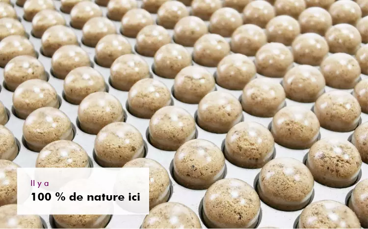 MycoVital_ Des rang&eacute;es d'objets ronds, bruns, en forme de d&ocirc;me, dispos&eacute;s de mani&egrave;re ordonn&eacute;e dans une grille. Dans le coin inf&eacute;rieur gauche, un texte en fran&ccedil;ais indique : "Il y a 100 % de nature ici : Il y a 100 % de nature ici.