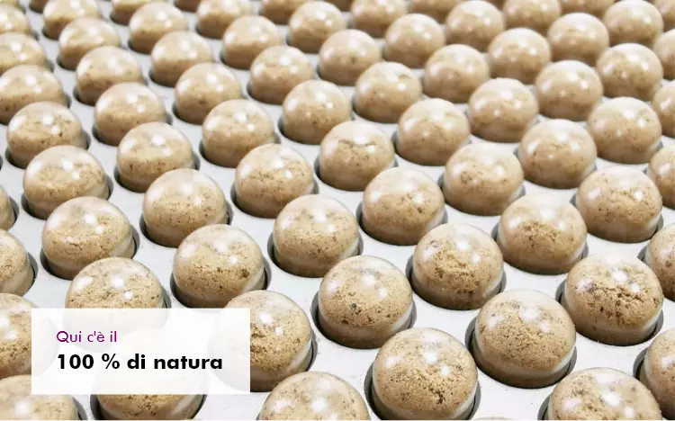 MycoVital_ Molte file di oggetti rotondi, marroni e a forma di cupola su un vassoio di metallo; in un angolo si legge Qui c&egrave; il 100% di natura.