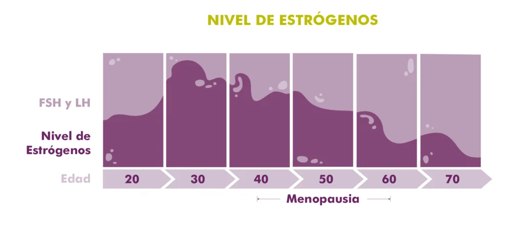MycoVital_ Gr&aacute;fico en alem&aacute;n que muestra los niveles de estr&oacute;geno por grupos de edad (20-70). El nivel de estr&oacute;genos fluct&uacute;a, alcanzando su m&aacute;ximo en torno a los 30-40 a&ntilde;os, y disminuye bruscamente despu&eacute;s de los 50, lo que se conoce como Wechseljahre (menopausia).