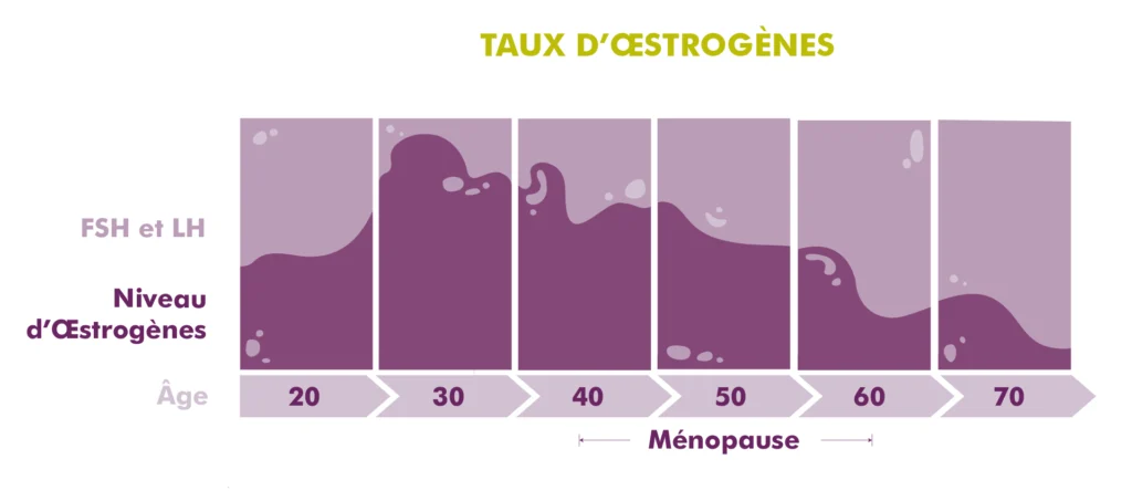 MycoVital_ Un graphique intitul&eacute; &Ouml;strogen-Hormonspiegel montre les niveaux d'&oelig;strog&egrave;nes en fonction de l'&acirc;ge. Les niveaux fluctuent entre 20 et 50 ans, puis chutent brusquement autour de la m&eacute;nopause (Wechseljahre) et restent bas jusqu'&agrave; l'&acirc;ge de 70 ans.