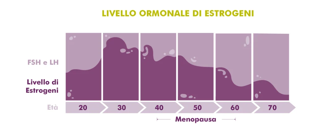 MycoVital_ Grafico che mostra i livelli di estrogeni tra i 20 e i 70 anni nelle donne. Il livello di estrogeni fluttua e diminuisce significativamente intorno alla menopausa ("Wechseljahre"), segnata tra i 40 e i 60 anni.